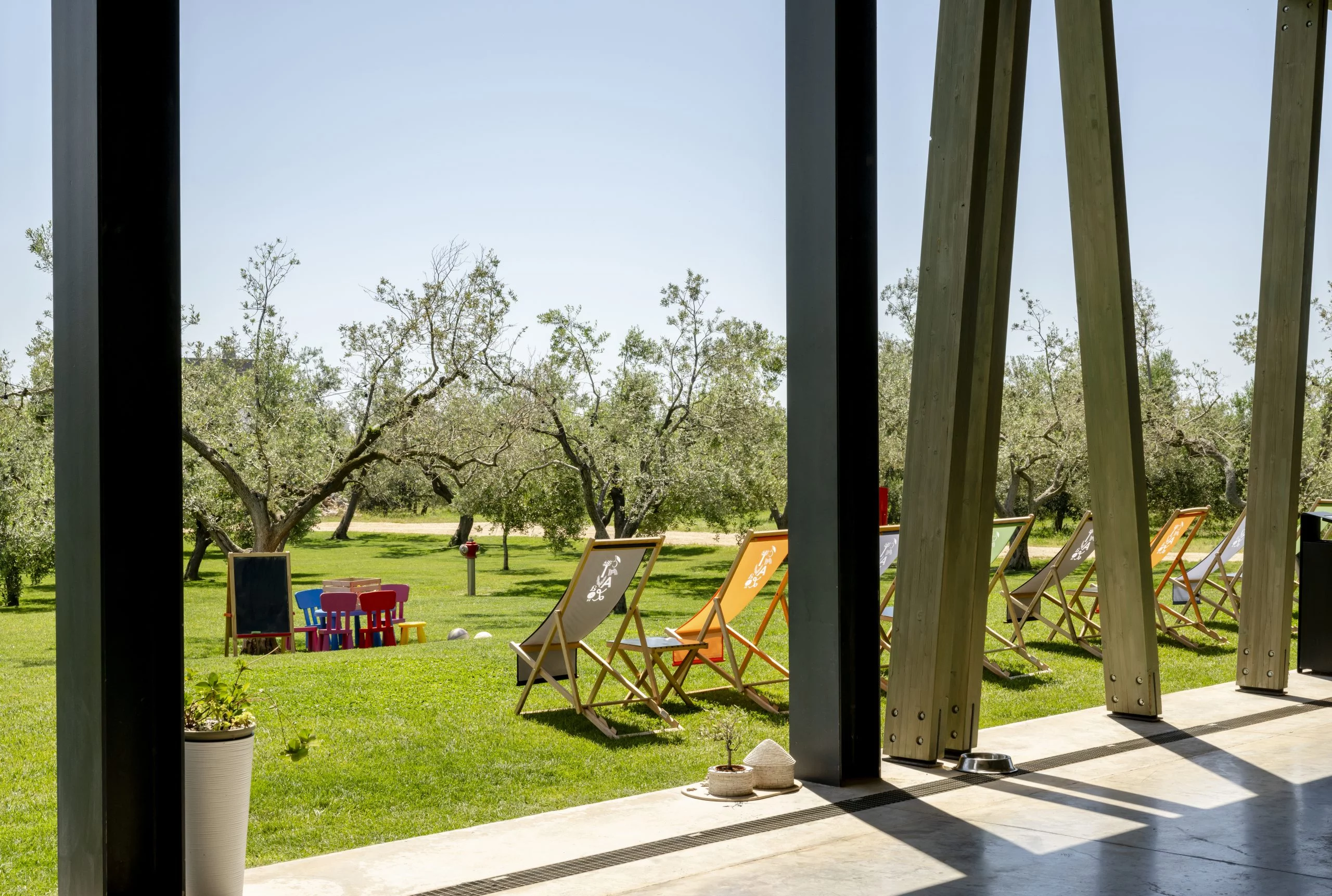 Sustainability and ethical olive oil production: Chiavalon’s commitment to environmental protection