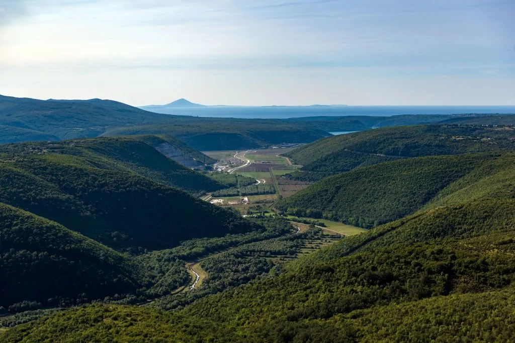 image_7